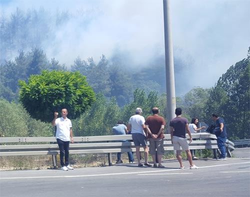 3.-yazi-icin-orman-yangini-selfie-ozcekim,-cagrisan-goynuklu-arasi,-mudanya-yolu.jpg