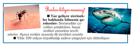 bunlar-010.jpg