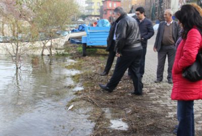 Uluabat Gölü’ndeki ölü balıkları balıkçılar atmış