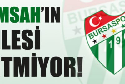 Timsah’ın çilesi bitmiyor!