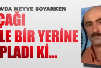 Bıçağı meyve yerine kasığına sapladı