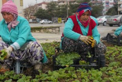 Bursa’yı çiçeklendiriyorlar