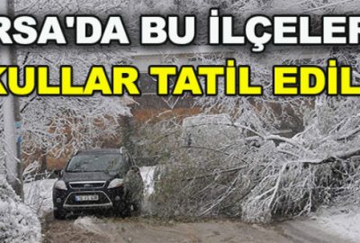 Bursa’da bu ilçelerde kar tatili ilan edildi!