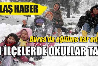 Bursa’da bu ilçelerde okullar tatil!