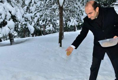 Başkan Edebali sokak hayvanlarına yem dağıttı