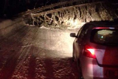 Uludağ Yolu’nda devrilen ağaçlar devrildi, yol trafiğe kapandı