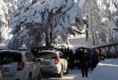 Uludağ’da karakış hasarı: 200’e yakın ağaç devrildi!