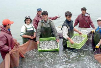 İznik Gölü’nde balık üretimi düştü