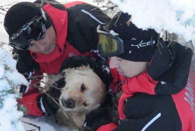 Uludağ’da jandarmadan köpek kurtarma operasyonu