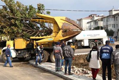 Nilüfer’den Bandırma’ya ağaç desteği