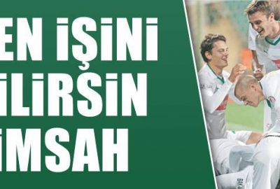 Sen işini bilirsin Timsah