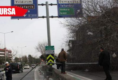 Lodos zincirle bağlanan ağacı bile devirdi