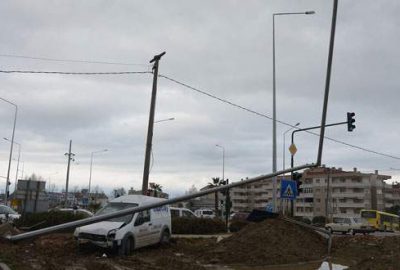 Direği kökünden söktü