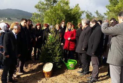 Özgecan Aslan Bursa’da fidanla yaşayacak