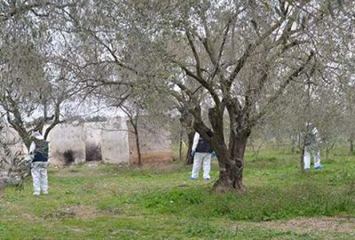 Bir kadın katliamı daha!