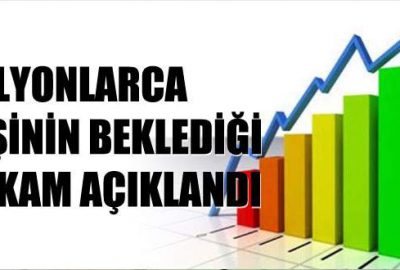 Enflasyon rakamları açıklandı