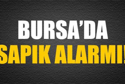 Bursa’da sapık alarmı!