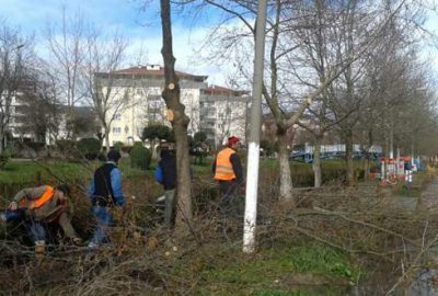 Parklarda bahar temizliği