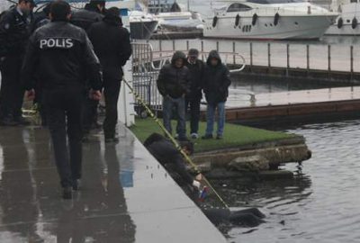 Kıyıya vurmuş kadın cesedi bulundu