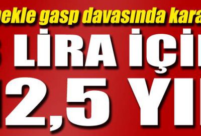 Köpekli gaspa 12,5 yıl