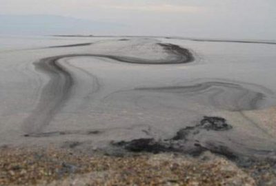 İznik Gölü’nde korkutan kirlilik