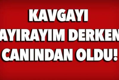 Kavgayı ayırayım derken canından oldu