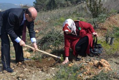 Kaymakoba’ya 200 fıstık çamı