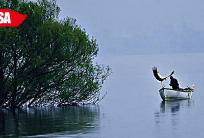 Hafta içi balıkçılık, hafta sonu tekne turu