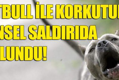 Pitbull ile korkutup cinsel saldırıda bulundu!