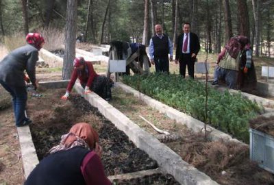 Geçici işçiler göreve başladı