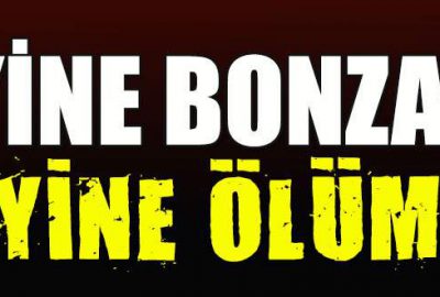 Bonzai, Bursa’da can aldı!