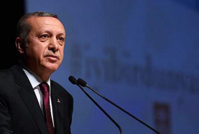 ‘Türkiye düşmanlığının dışa vurumundan ibaret’