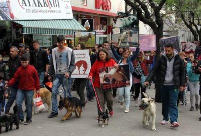 Hayvan hakları ve ölümleri için yürüdüler