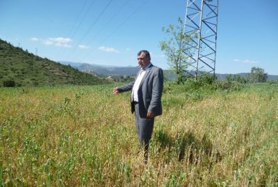 Osmaneli Ziraat Odası Başkanı Ünver Çiftcileri Sarı Pas Hastalığına Karşı Uyardı