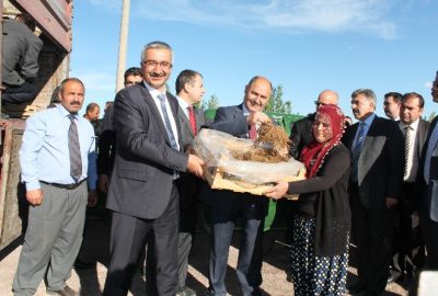 Niğde’de Çilek Dikimi Başladı