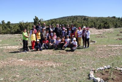 Bozüyük’te Karayolu Trafik Güvenliği Haftası Etkinlikleri