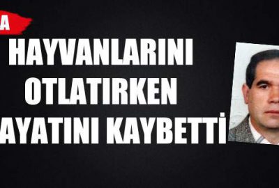 Hayvanlarını otlatırken hayatını kaybetti