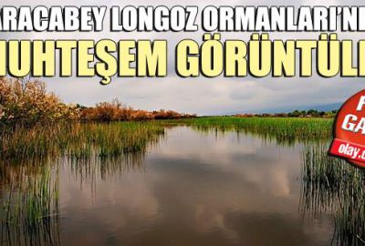 Karacabey Longoz Ormanları’ndan muhteşem görüntüler