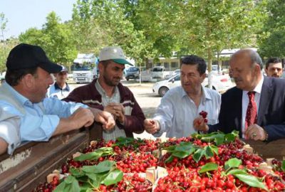 İznik’te kiraz sezonu açıldı