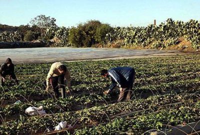 TKDK’da başvuru süresi uzatıldı