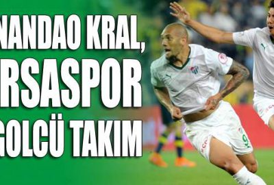 Fernandao kral, Bursaspor en golcü takım