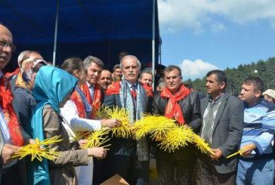 Dağ yöresi ipek böceği ile kalkınıyor