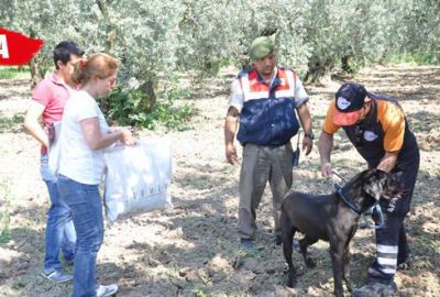 ‘Kayıp emlakçı kadın’ı arama çalışmaları sürüyor