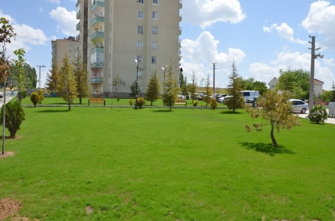 Atıl Arazi Park Oldu