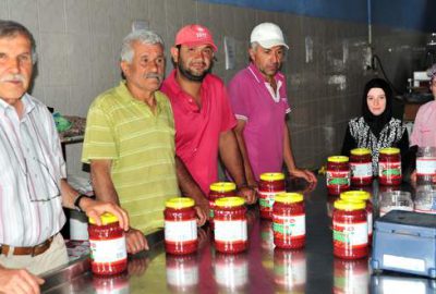 Kulaca salçası Avrupa’nın gözdesi