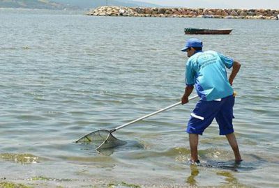 Bursa sahilleri kirlilikten arındı