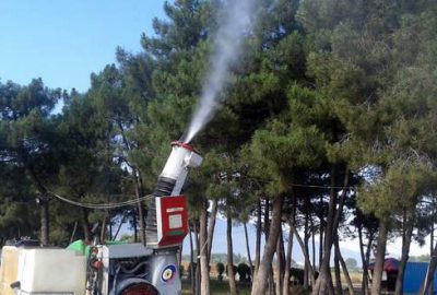 İznik Gölü sahilindeki çamlar koruma altında