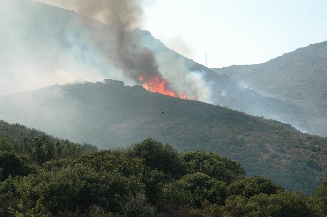 Bodrum’daki Yangın Mahallelere Sıçradı