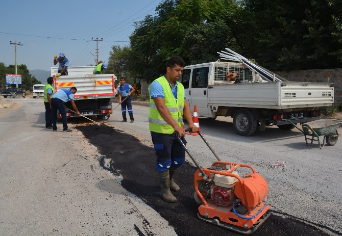 Muski Kendi Hasarını Kendisi Onarıyor