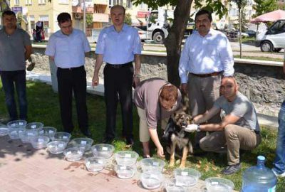 Sokaktaki dostlar susuz kalmayacak